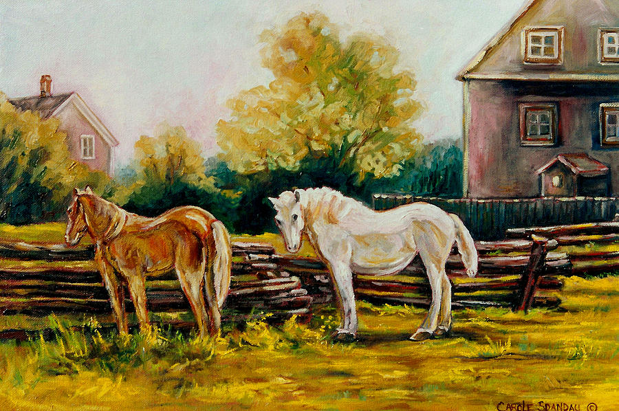 900x598 The Horse Ranch Eastern Townships Quebec Painting By Carole Spandau - Ranch Painting