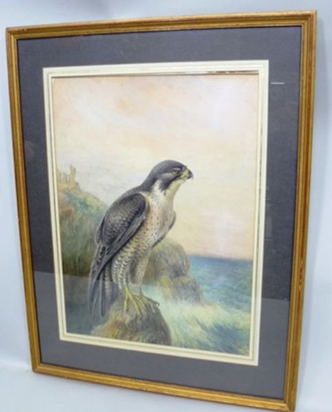 483x600 Art Pictures - Rankin Painting