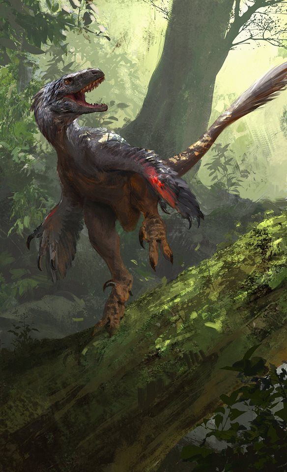 584x960 Absolutely Gorgeous Painting Of An Atrociraptor By Jonathan Kuo - Raptor Painting