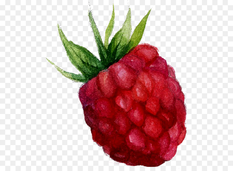 900x660 Mxfbre Watercolor Painting Tea - Raspberry Painting