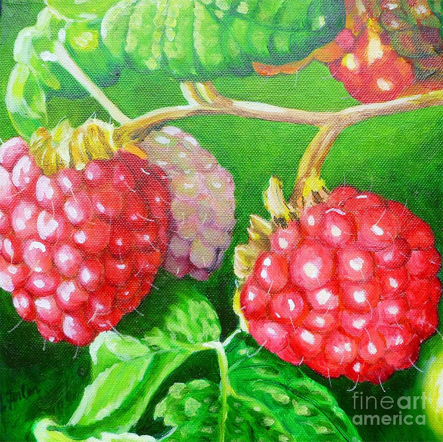900x898 Raspberry Ripening Painting By Lorraine Fenlon - Raspberry Painting