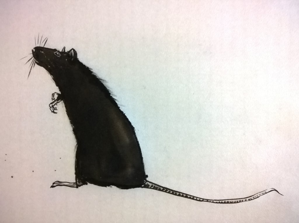 1024x765 Rat - Rat Painting