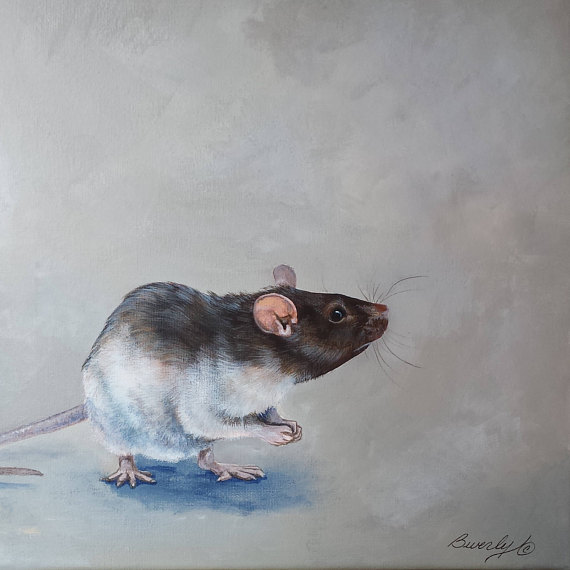 570x570 Rat Art Rattus Norvegicus Lab Rat Painting Pet Rat - Rat Painting