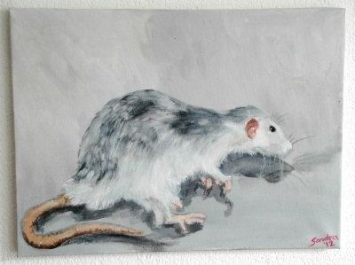 400x299 Rat Painting. Original Acrylic Painting By Sandraartstudio On Etsy - Rat Painting