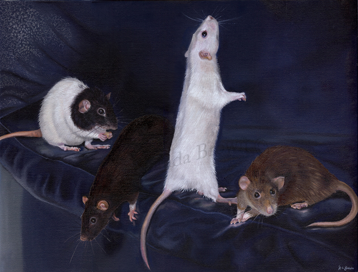 700x532 Rat Painting - Rat Painting