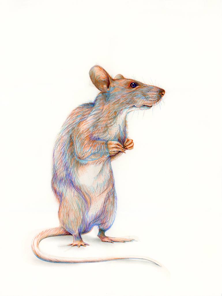 770x1027 Saatchi Art Rat Painting By Alan Michael - Rat Painting
