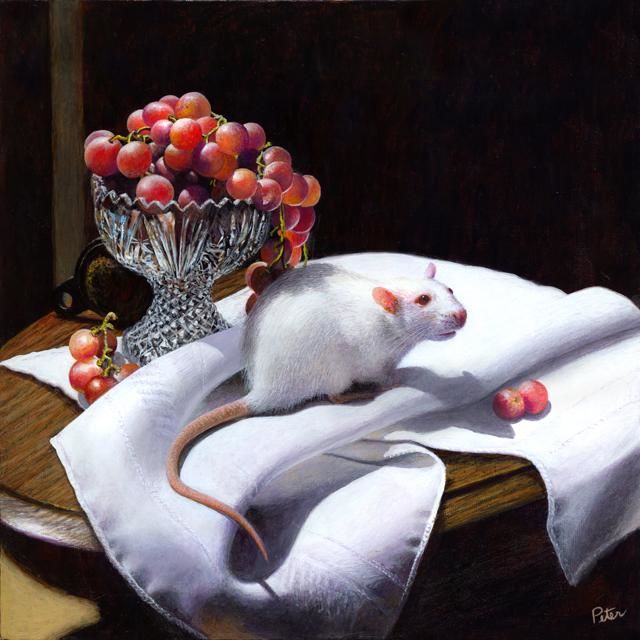 640x640 Still Life With Ball Joint And Rat (Henry Peter) - Rat Painting