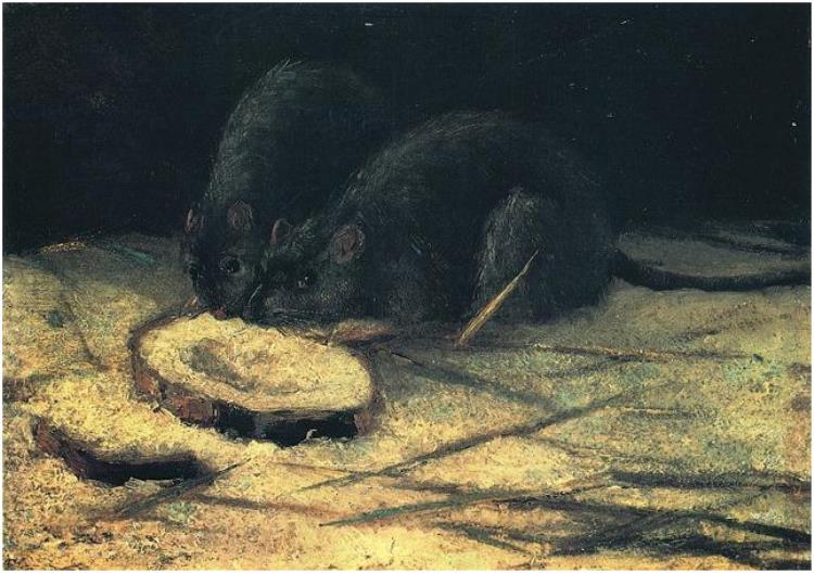 750x528 Two Rats By Vincent Van Gogh - Rat Painting