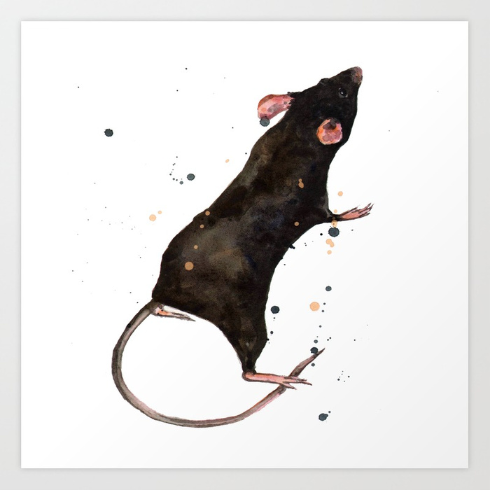 700x700 Velveteen Rat Art Print By Eastwitching Society6 - Rat Painting