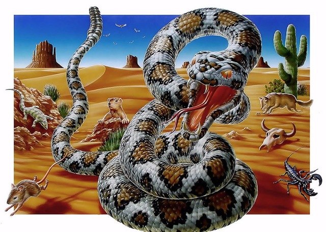 640x456 Icon Diamond Embroidery Horror Animal Snake Mosaic Crystal 5d - Rattlesnake Painting