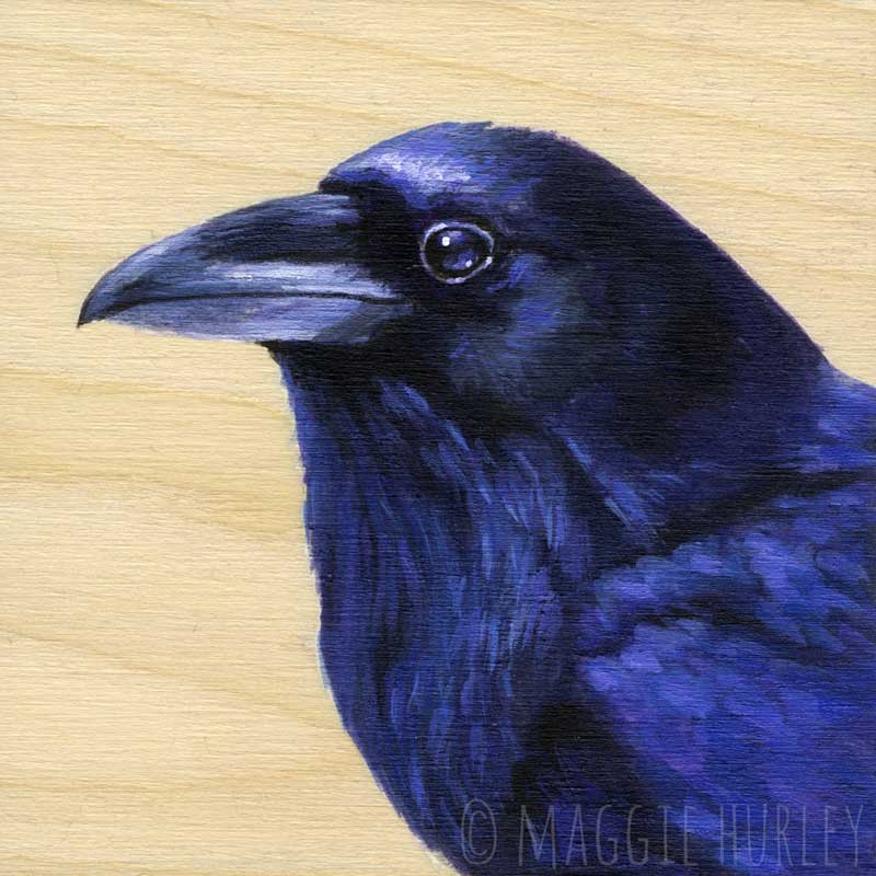 800x800 Raven - Raven Bird Painting
