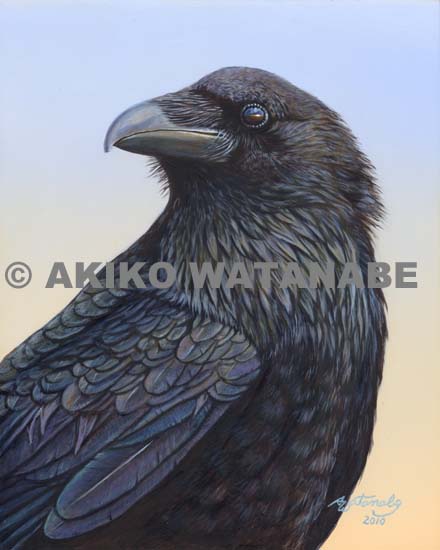 440x550 Sunset (Print Of Crow Raven Bird Painting) Akiko Watanabe Fine - Raven Bird Painting