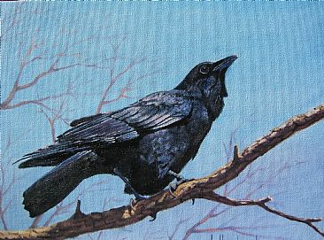 366x271 Bird Raven - Raven Bird Painting