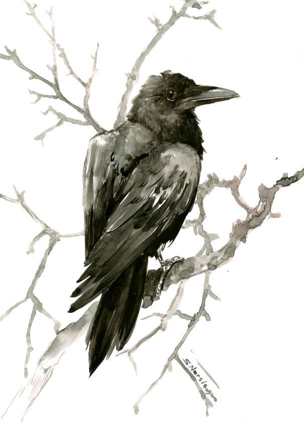 606x850 Raven On The Tree, Fall, Original Watercolor Painting, Raven - Raven Painting