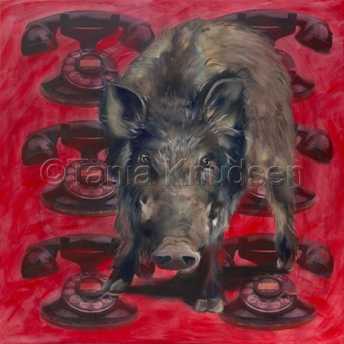 500x500 Painting Calling The Hogs (Original Art By Tania Knudsen) - Razorback Painting