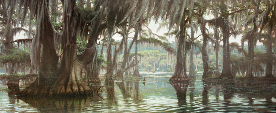 900x370 Caddo Lake Swamp Painting By Rc Davis - Rc Davis Painting