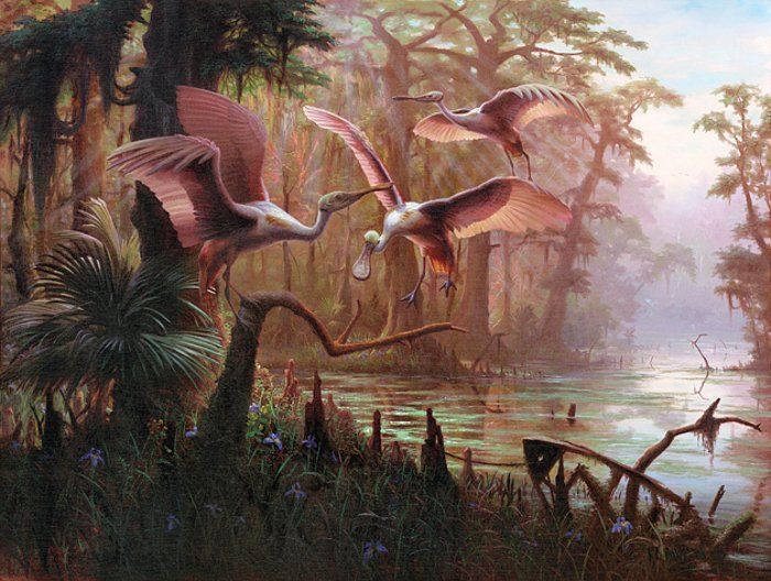 700x528 R.c.davis - Rc Davis Painting