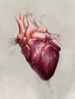 250x330 Human Heart Paintings - Real Heart Painting