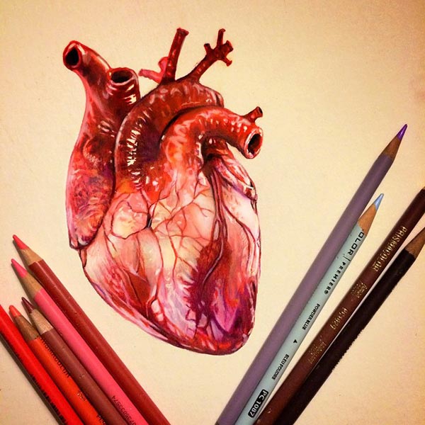600x600 Collection Of Human Heart Drawing With Color High Quality - Real Heart Painting