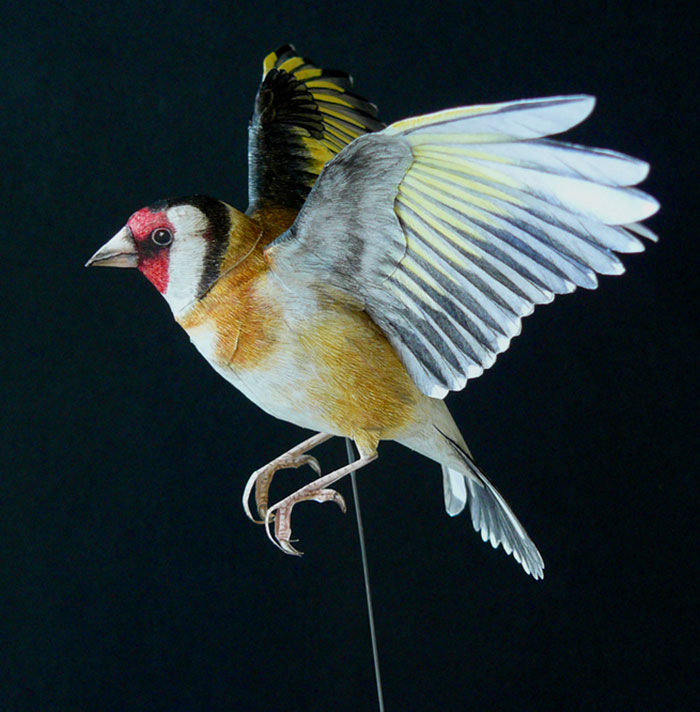 700x712 I Create Realistic Birds From Paper Bored Panda - Realistic Bird Painting
