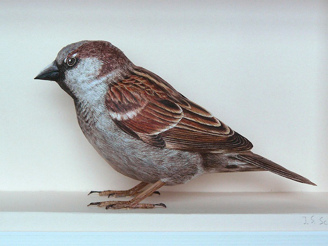 640x480 Realistic Birds Made From Paper And Watercolor Paint By Johan - Realistic Bird Painting