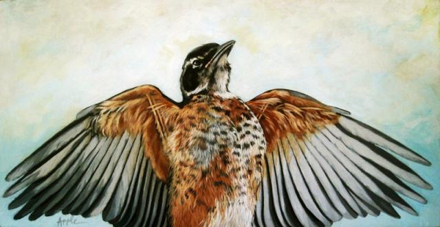640x331 Red Robin Bird Wings Realistic Nature Art Natural Science Painting - Realistic Bird Painting