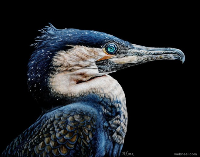 659x518 Bird Painting By Heather 1 - Realistic Bird Painting