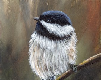 340x270 Bird Painting Etsy - Realistic Bird Painting