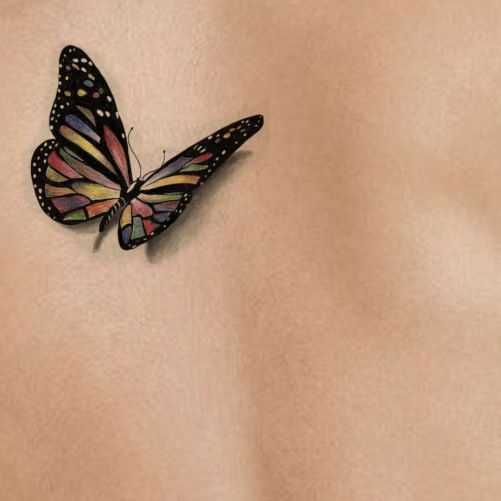 501x501 Butterfly Painting Template Awesome 15 Best 3d Realistic Butterfly - Realistic Butterfly Painting