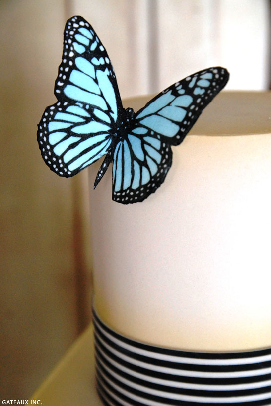 546x816 Diy Vintage Butterfly Cake - Realistic Butterfly Painting