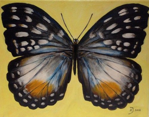 500x394 Painting Acrylic Butterfly X Animals In Artworks - Realistic Butterfly Painting