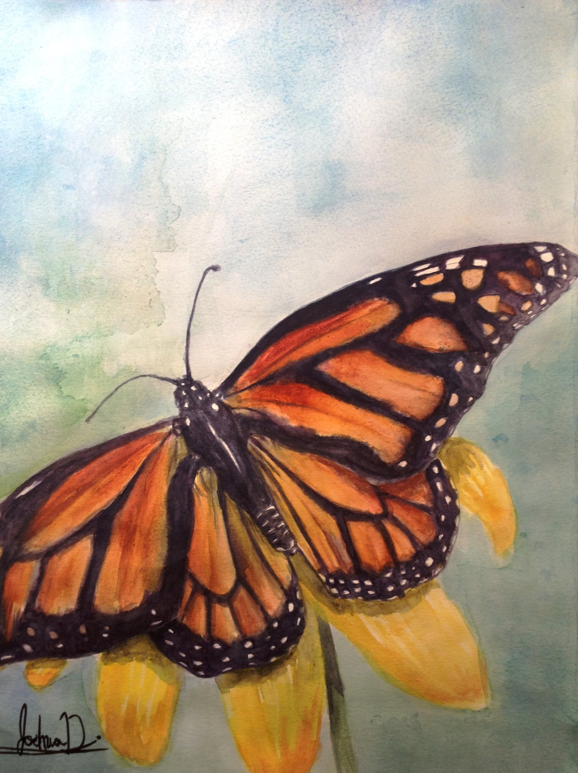 Бабочки нарисованные акварелью