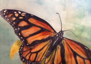 300x210 Watercolor Paintings Of Butterflies - Realistic Butterfly Painting