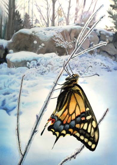 391x550 50 Realistic Watercolor Paintings - Realistic Butterfly Painting