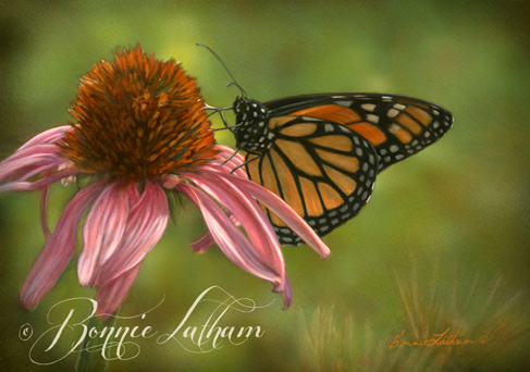 487x342 Blog Bonnie Latham's Wildlife Amp Nature Art - Realistic Butterfly Painting