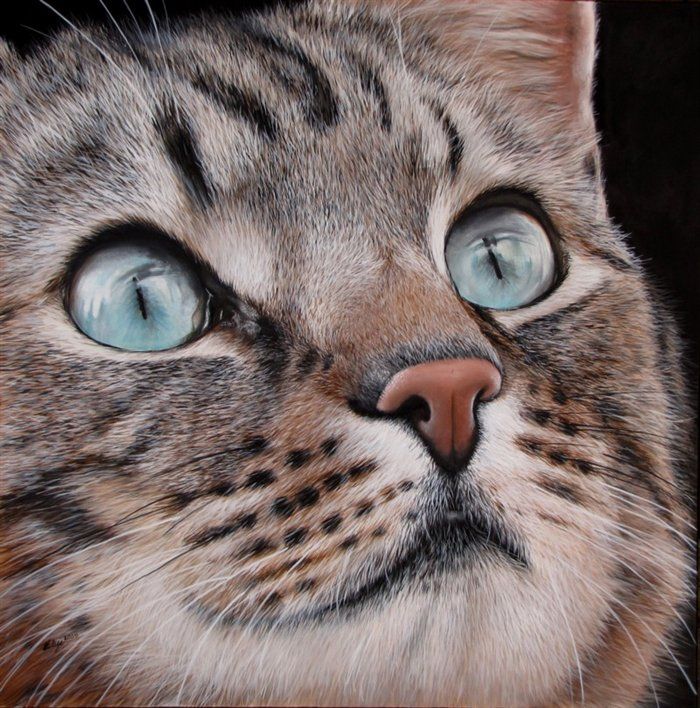 Realistic Cat Painting At PaintingValley Com Explore Collection Of   Realistic Cat Painting 1 