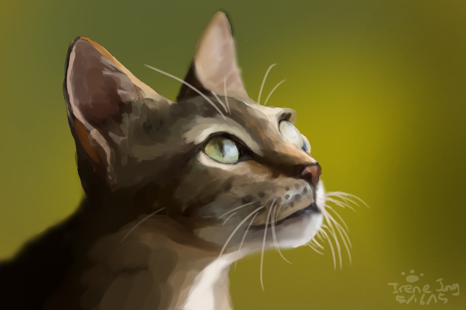 960x640 Image - Realistic Cat Painting