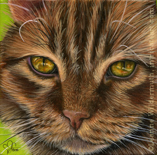 311x308 Leanne Wildermuth Artist By Nature Custom Cat - Realistic Cat Painting
