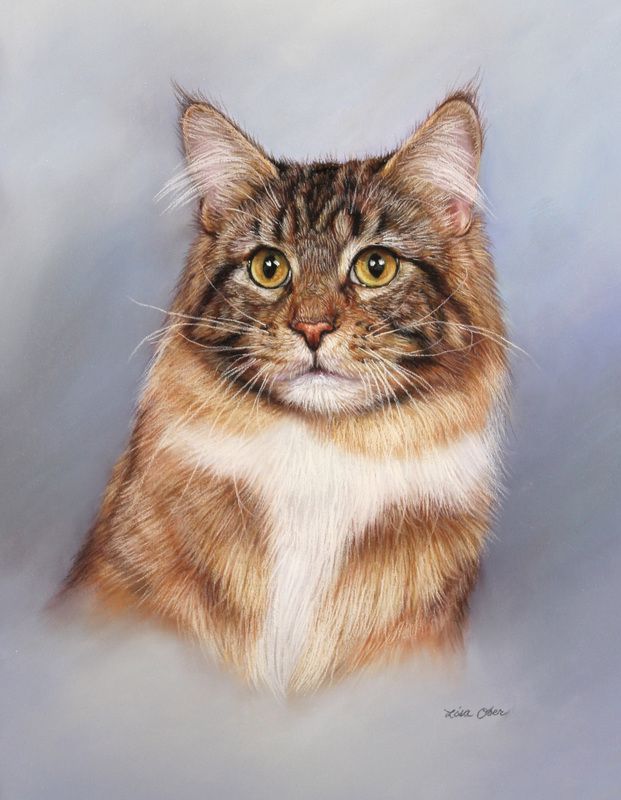 621x800 Pin By - Realistic Cat Painting
