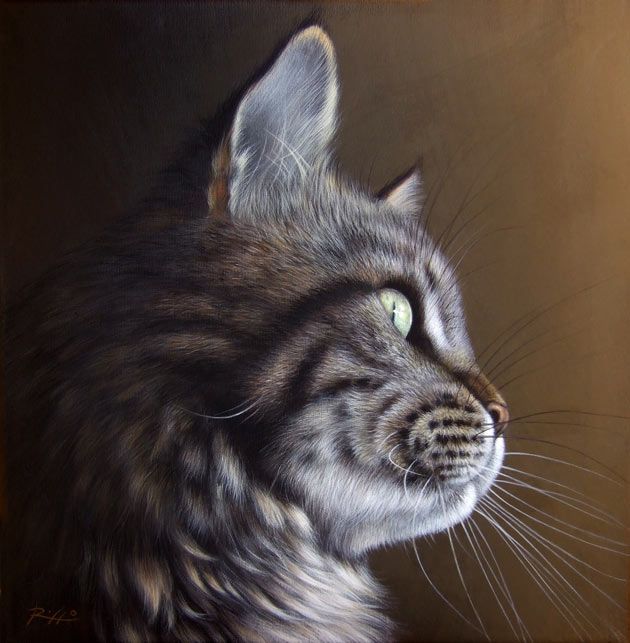 Realistic Cat Painting At Explore Collection Of