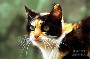 300x199 Realistic Cat Drawing Paintings Fine Art America - Realistic Cat Painting