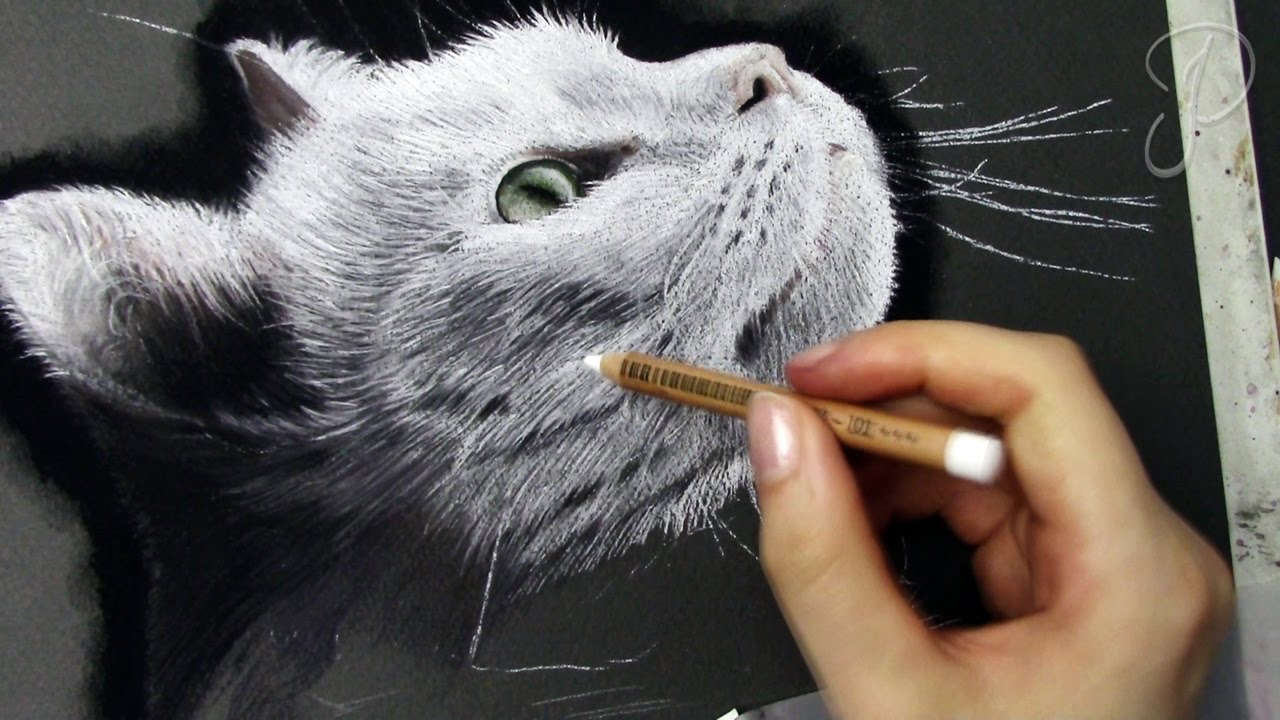 1280x720 Realistic White Cat Portrait - Realistic Cat Painting