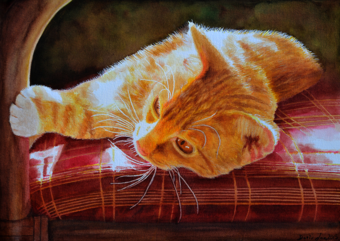 680x482 Red Cat On Red Chair Watercolor Amp Oil Paintings Of Roses - Realistic Cat Painting