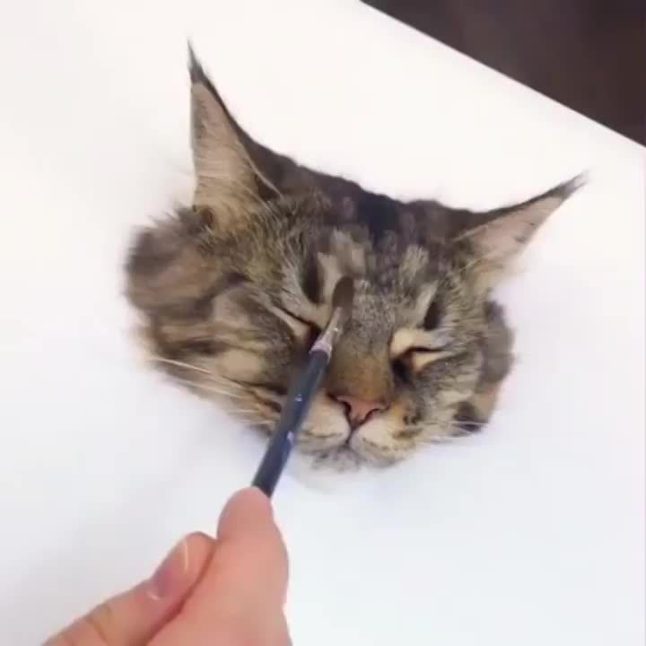 720x720 Super Realistic 3d Cat Painting Cutesypooh - Realistic Cat Painting