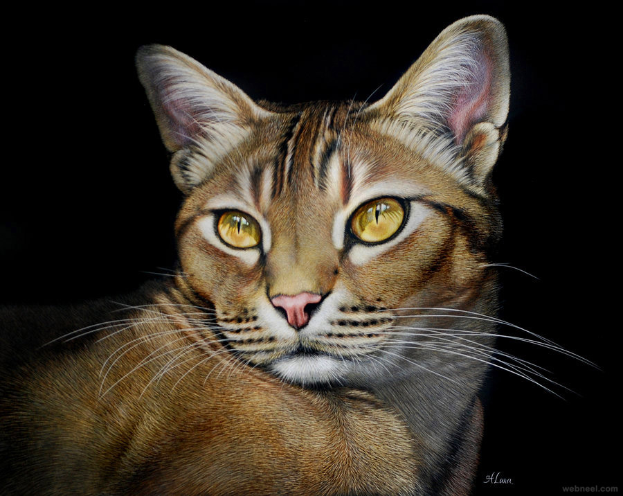 900x716 Cat Animal Painting By Heather 17 - Realistic Cat Painting