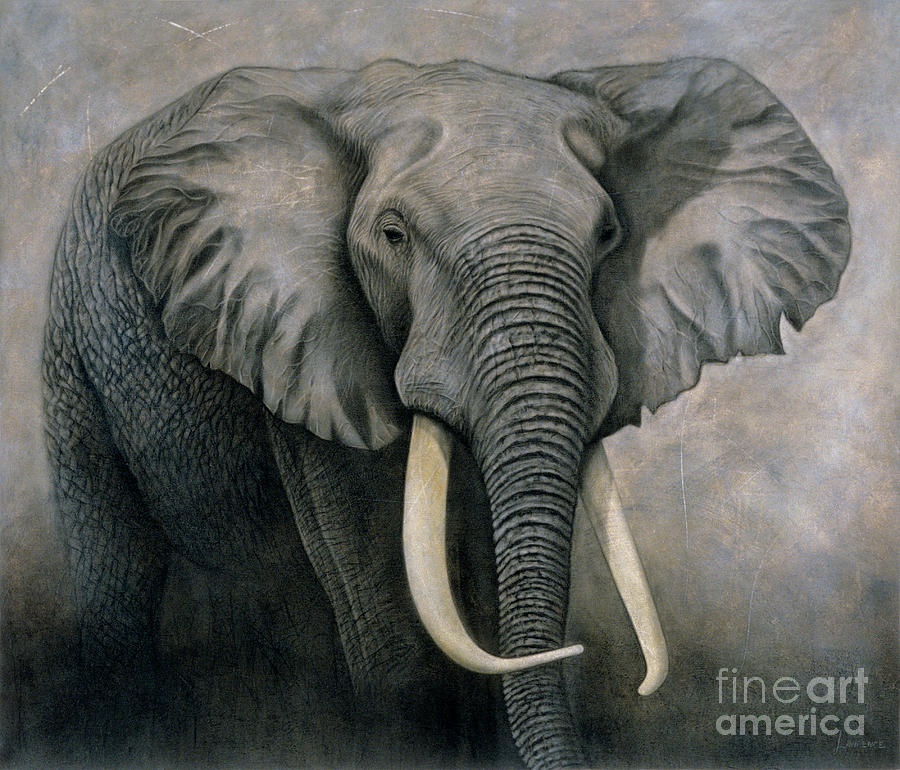 900x770 Elephant Painting By Lawrence Supino - Realistic Elephant Painting