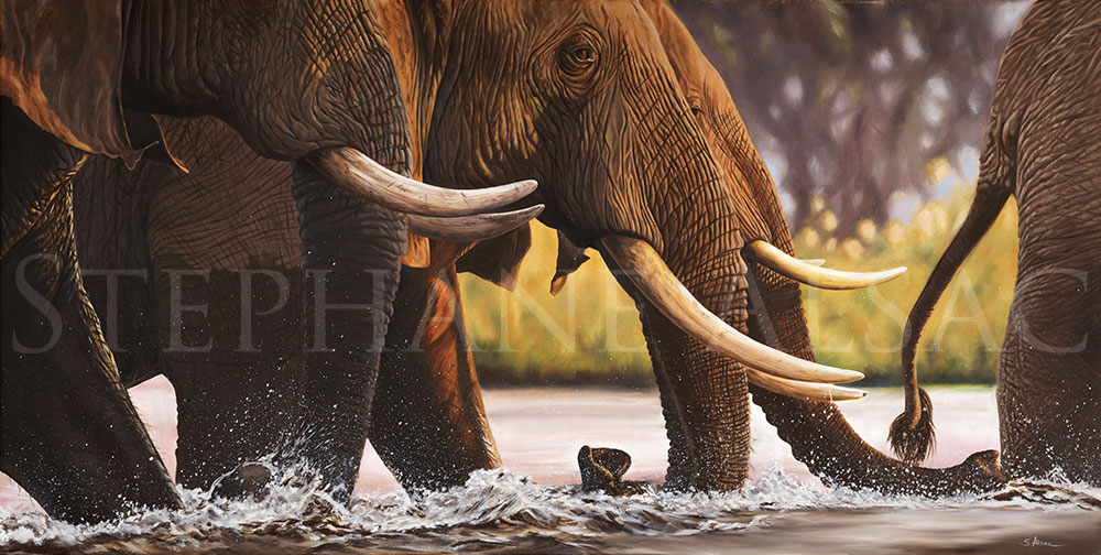 1000x504 Elephants Crossing - Realistic Elephant Painting