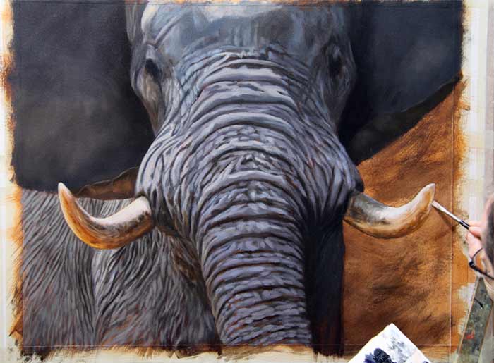700x515 How To Paint An Elephant - Realistic Elephant Painting