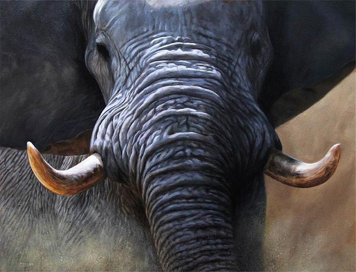 700x535 How To Paint An Elephant - Realistic Elephant Painting