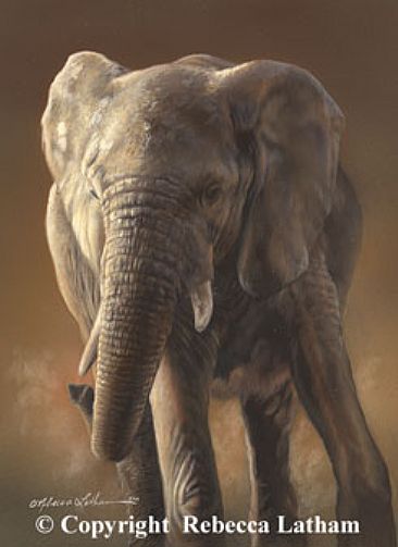 366x503 Elephant - Realistic Elephant Painting